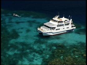 Fish Bowl Dive Site - Accommodation Nelson Bay 0
