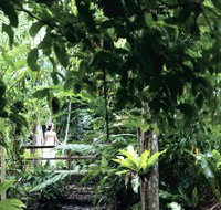 Flecker Botanic Gardens - Accommodation Nelson Bay