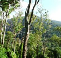 Smiths Track Barron Gorge National Park - Accommodation Nelson Bay