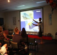 Reef Teach - Accommodation Nelson Bay