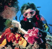 Osprey Reef - Accommodation Nelson Bay