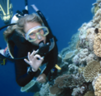 Moore Reef Dive Site - Accommodation Nelson Bay