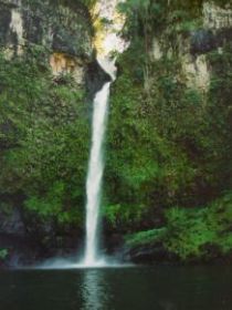 Nandroya Falls Circuit Track, Wooroonooran National Park - Accommodation Nelson Bay 0
