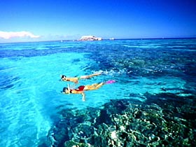 Northern Great Barrier Reef - Accommodation Nelson Bay 0
