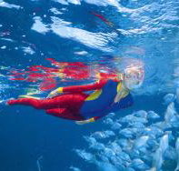 Great Detached Reef Dive Site - Accommodation Nelson Bay