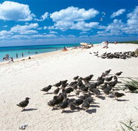 Michaelmas and Upolo Cays National Park - Accommodation Nelson Bay