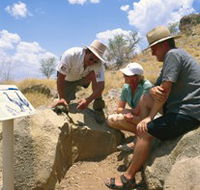 Riversleigh Fossil Fields - Accommodation Nelson Bay