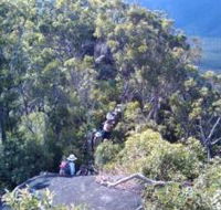 Mia Mia State Forest - Accommodation Nelson Bay