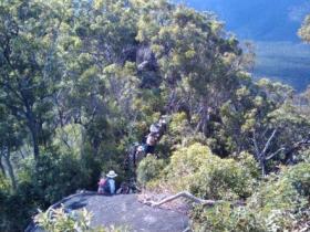 Mia Mia State Forest - Accommodation Nelson Bay 0