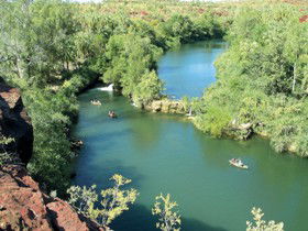 Wild Dog Dreaming, Boodjamulla (Lawn Hill) National Park - Accommodation Nelson Bay 0