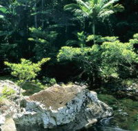 Conway State Forest - Accommodation Nelson Bay