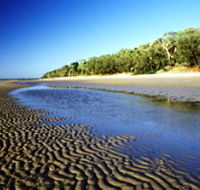 Burrum Coast National Park - Accommodation Nelson Bay
