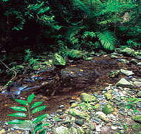 Wompoo Walk - Accommodation Nelson Bay