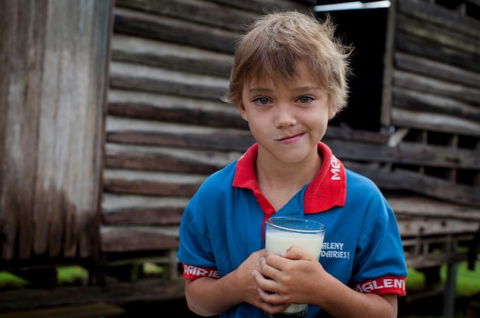 Maleny Dairies - Accommodation Nelson Bay 2