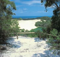 Lake Wabby Track - Accommodation Nelson Bay