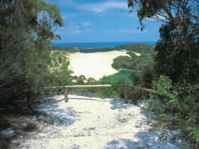 Lake Wabby Track - Accommodation Nelson Bay 0