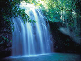 Zillie Falls - Accommodation Nelson Bay 0