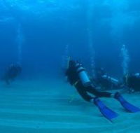 Child Island Dive Site - Accommodation Nelson Bay