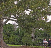 Ravensbourne National Park - Accommodation Nelson Bay