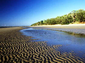 Kinkuna Section - Accommodation Nelson Bay 0