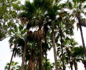 Palm Tree Creek - Accommodation Nelson Bay 0