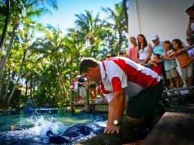 Daydream Island QLD Accommodation Nelson Bay