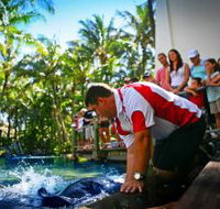 The Living Reef on Daydream Island - Accommodation Nelson Bay