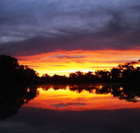 Thomson River - Accommodation Nelson Bay