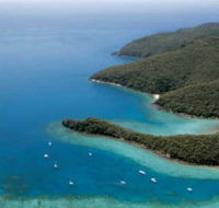 Butterfly Bay - Hook Island - Accommodation Nelson Bay