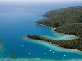 Butterfly Bay - Hook Island - Accommodation Nelson Bay 0