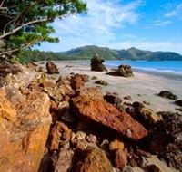 Diversity Boardwalk - Accommodation Nelson Bay