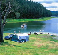 Danbulla National Park and Danbulla State Forest - Accommodation Nelson Bay