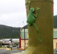 Golden Gumboot - Accommodation Nelson Bay