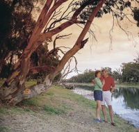 The Looking Glass - Accommodation Nelson Bay