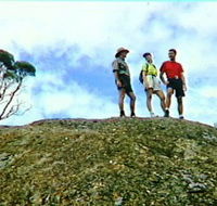 Coongarra Rock - Accommodation Nelson Bay