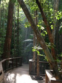 Basin Lake Track - Accommodation Nelson Bay 0