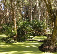 Arkarra Lagoons and Tea Gardens - Accommodation Nelson Bay