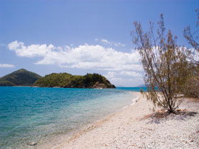 Shute Harbour QLD Accommodation Nelson Bay