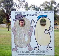 Kingaroy Lions Park - Accommodation Nelson Bay