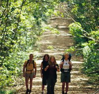 Wet Tropics Great Walk - Accommodation Nelson Bay