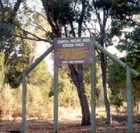 Carroll Nature Reserve Kokoda Track - Accommodation Nelson Bay