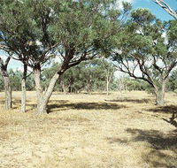 Forest Den National Park - Accommodation Nelson Bay
