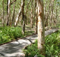 The Kommo Toera Trail - Accommodation Nelson Bay