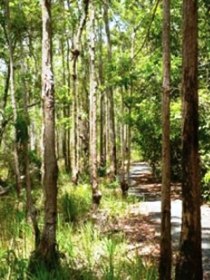 Hallorans Hill - Accommodation Nelson Bay 0