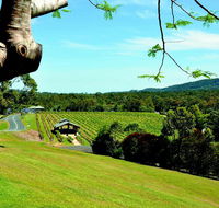 Sirromet Winery - Accommodation Nelson Bay