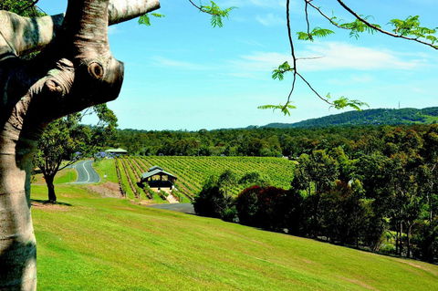 Sirromet Winery - Accommodation Nelson Bay 0