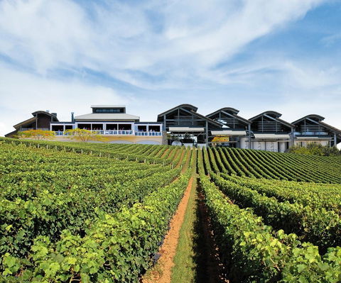 Sirromet Winery - Accommodation Nelson Bay 12