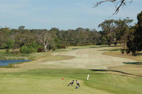 Devilbend Golf Club - Accommodation Nelson Bay 1
