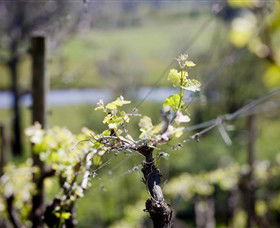 Elan Vineyard And Winery - Accommodation Nelson Bay 0