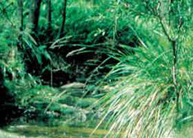 Fern Hill VIC Accommodation Nelson Bay
